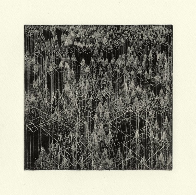 JT. PM forêt mixte 1, monotype impression taille-douce, 28 cm x 28 cm