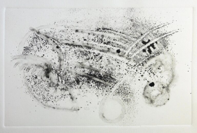 Myriame Beaudoin_monotype encre relief
